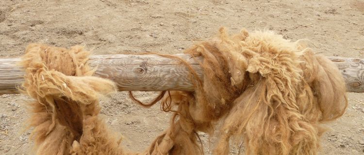 JANLIZ | Tejidos Peruanos